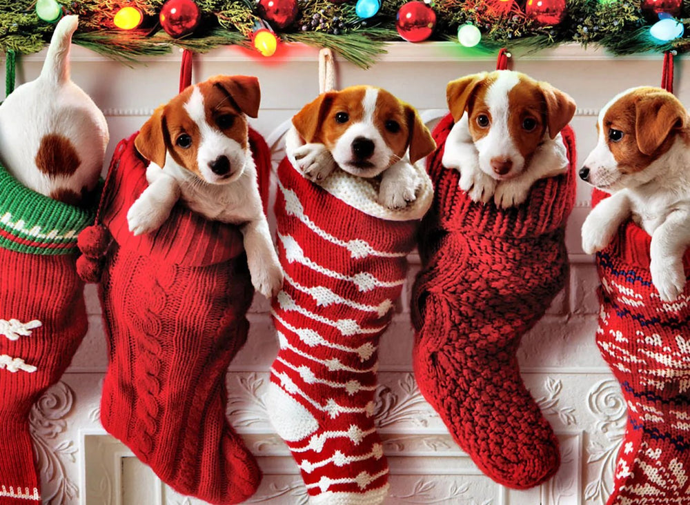 Tail-Wagging Holiday Cheer: Crafting the Perfect Themed Christmas Stockings for Every Dog - Puppy Island Care & Spa