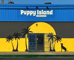 Your Ultimate Guide to Boarding Your Dog with Puppy Island Care & Spa - Puppy Island Care & Spa