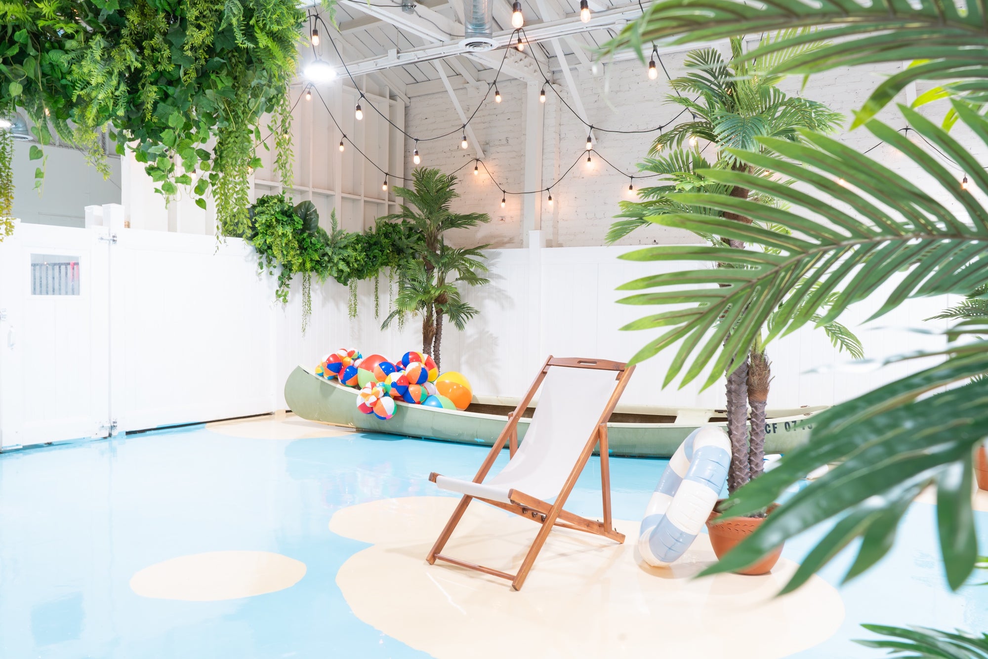 Cage-free playtime at a dog resort offering grooming and daycare in Glendale, serving Burbank, Pasadena, Los Feliz, and the Los Angeles area.