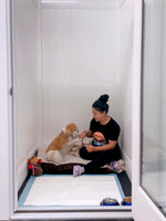 Puppy Island Care & Spa - The ultimate doggy boarding destination for your furry friend