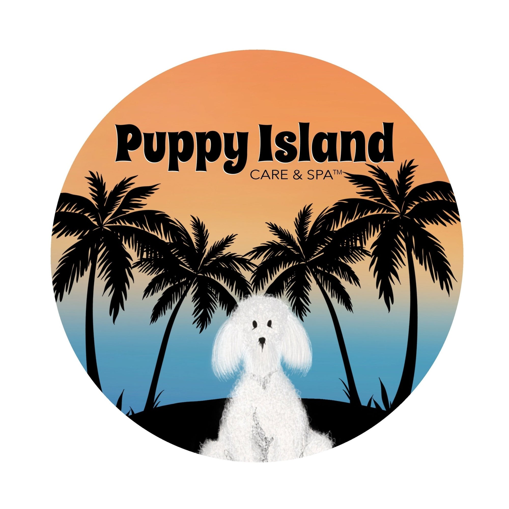 A Guide to Puppy Island Care & Spa's Boarding Services: Choose the Best Stay for Your Pup! - Puppy Island Care & Spa