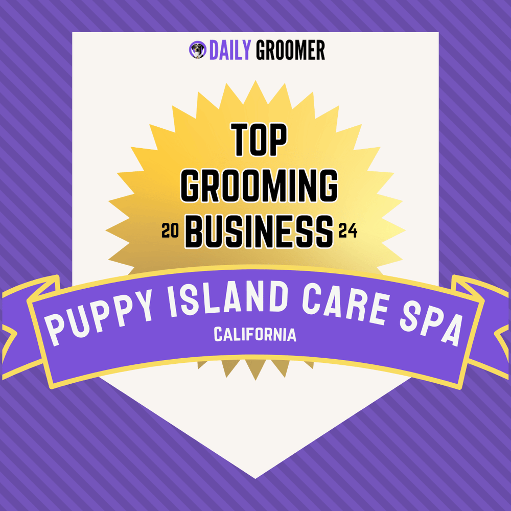 Award-Winning Dog Groomer of 2024: Top 10 in California - Puppy Island Care & Spa - Puppy Island Care & Spa