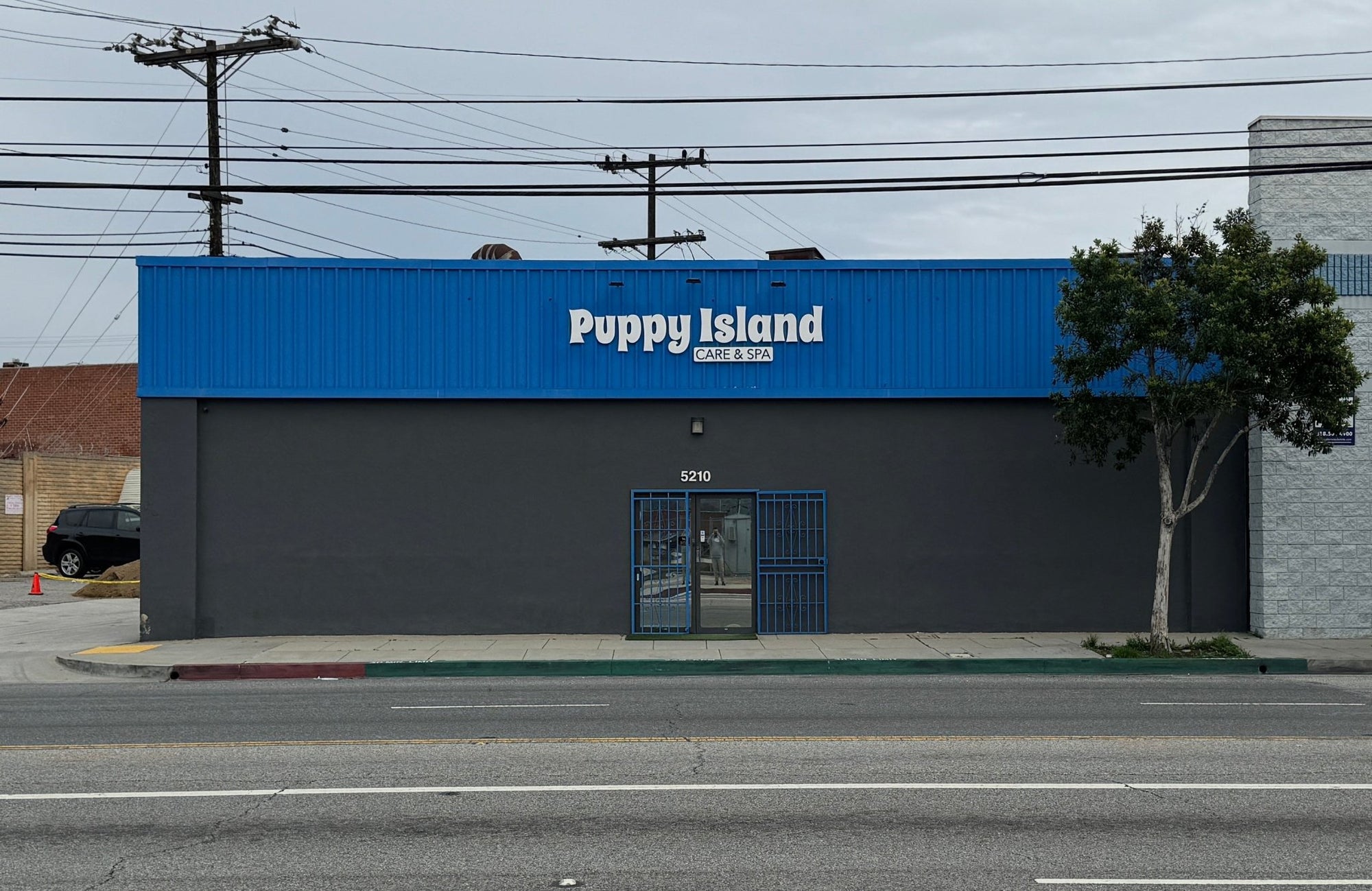 Discover Puppy Island: Premier Puppy Boarding in Los Angeles - Puppy Island Care & Spa
