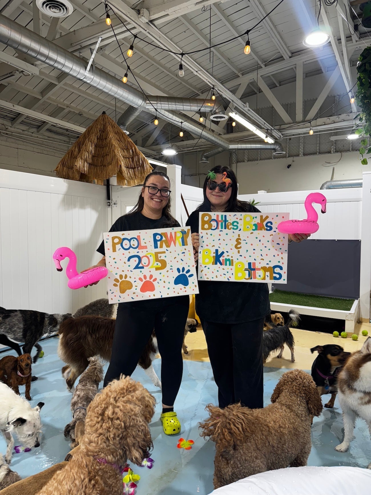 Surprise Pool Parties Every Summer Thursday at Puppy Island! - Puppy Island Care & Spa