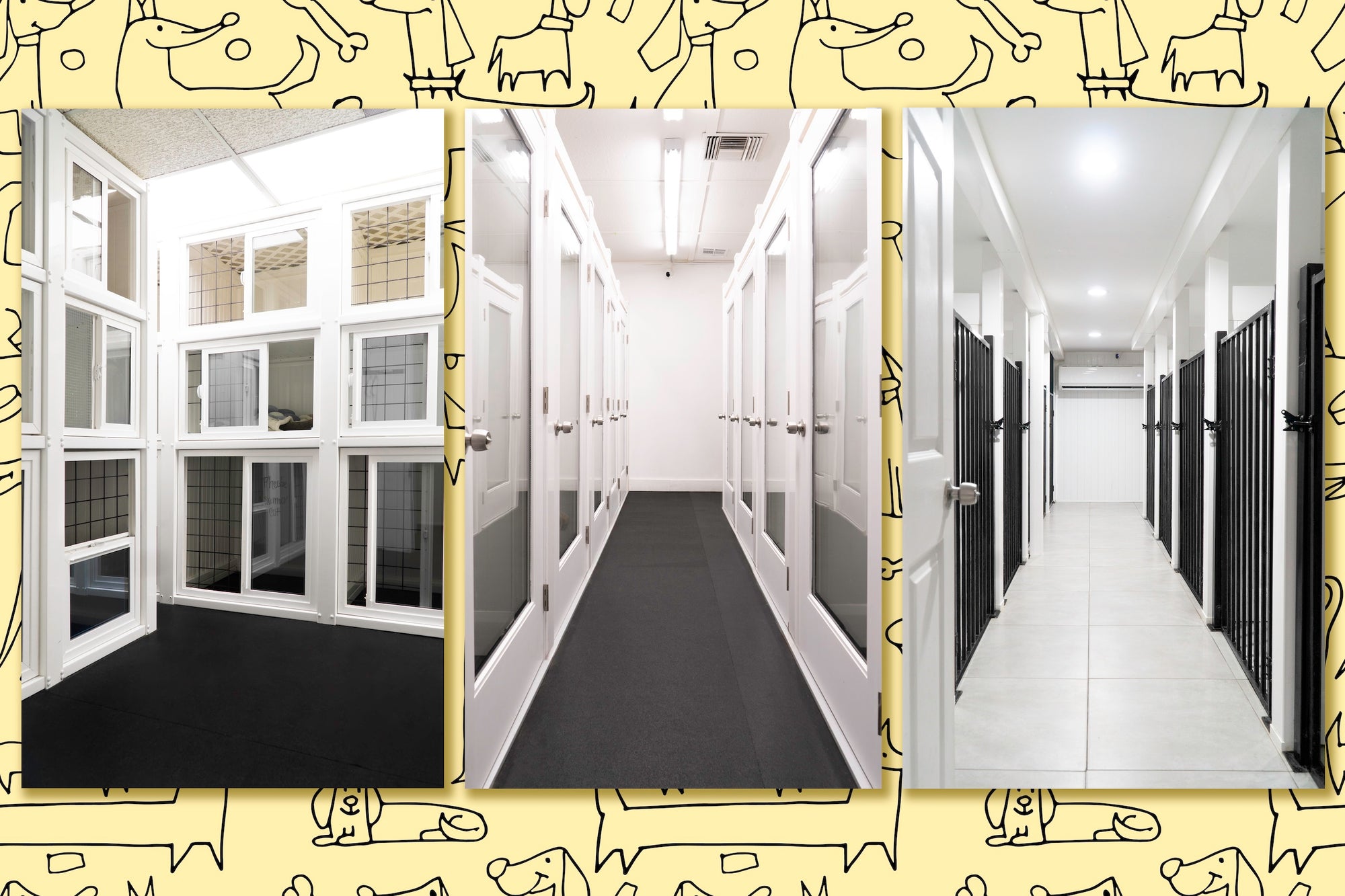 Clean and cozy dog boarding rooms inside Puppy Island’s Glendale location.