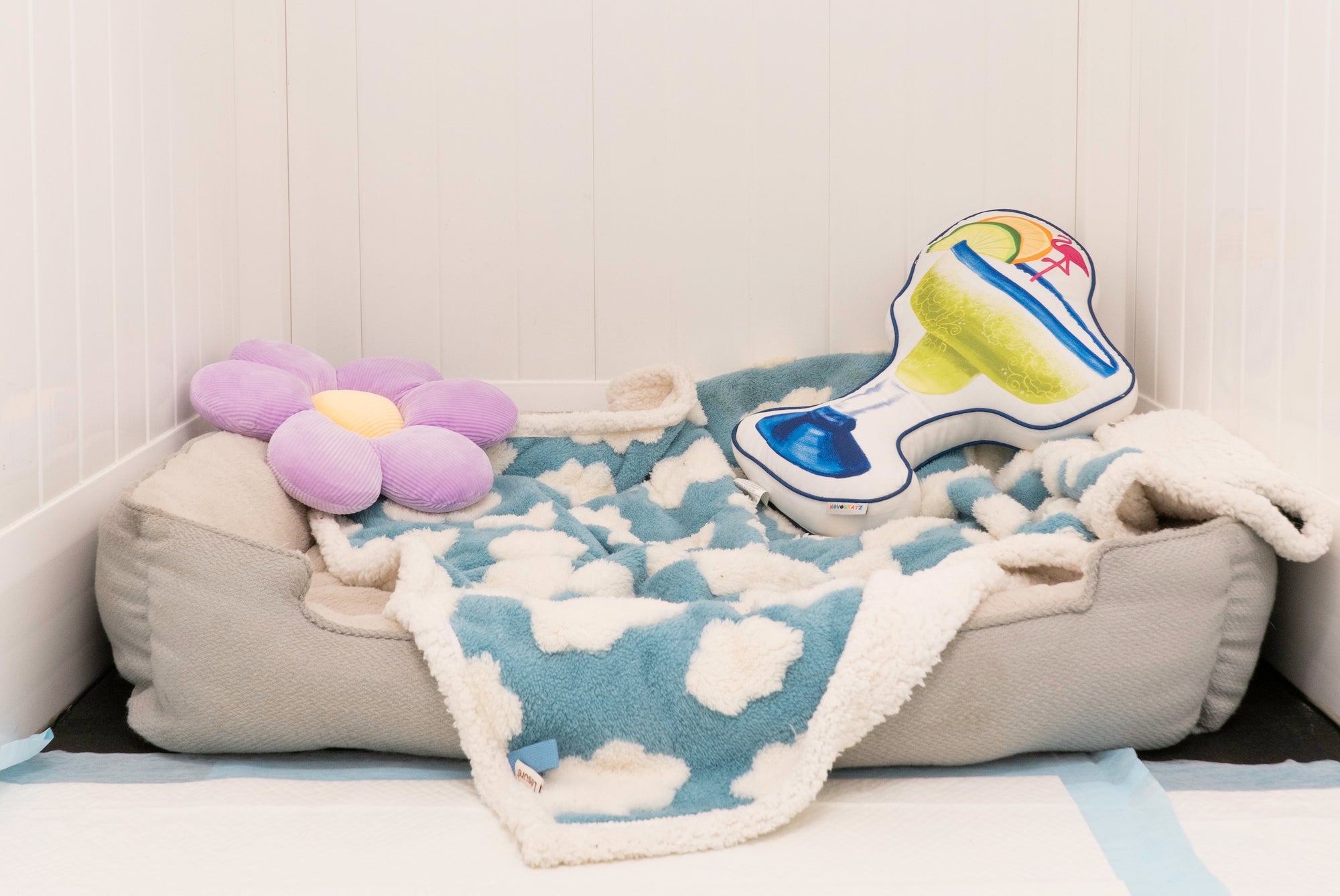 Clean and cozy dog boarding rooms inside Puppy Island’s Glendale location.