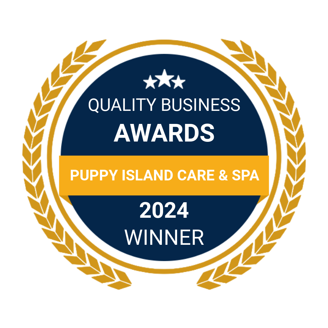 Award winning Puppy Island facility offering full-service dog care to families from Burbank, Pasadena, Los Feliz, and beyond.