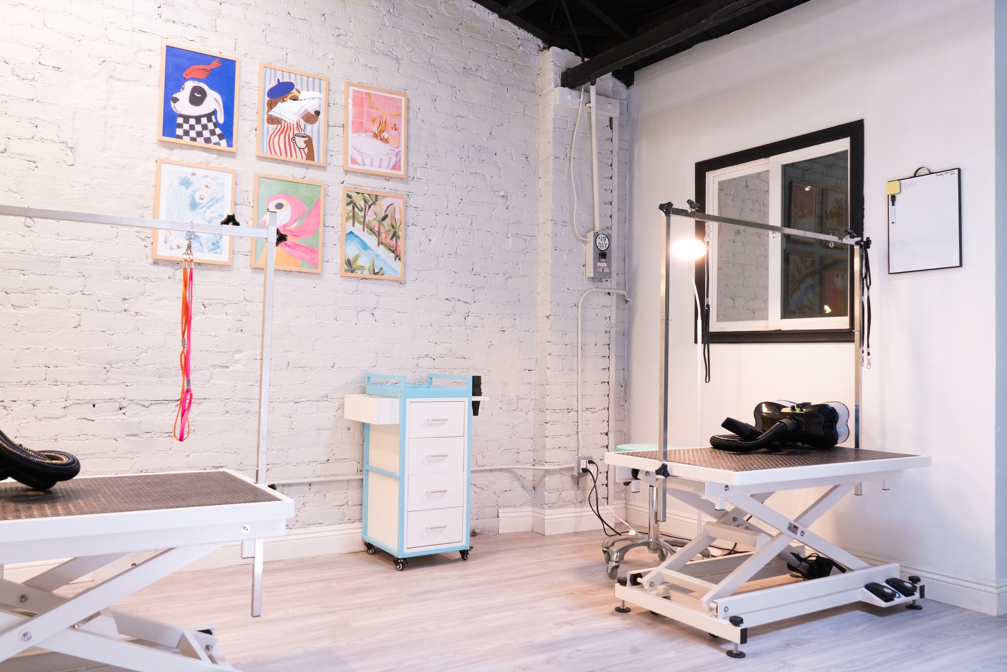 Grooming room at Puppy Island equipped for professional dog grooming services.