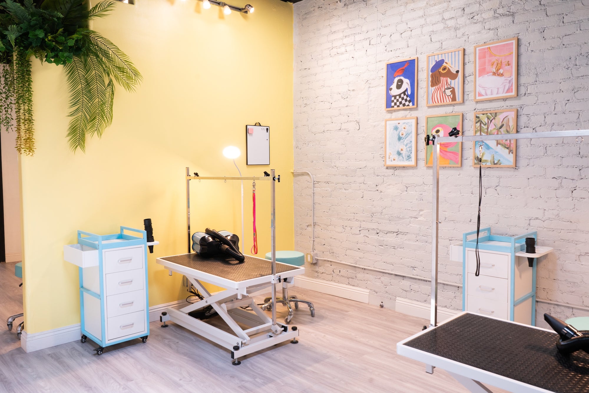 Grooming room at Puppy Island equipped for professional dog grooming services.