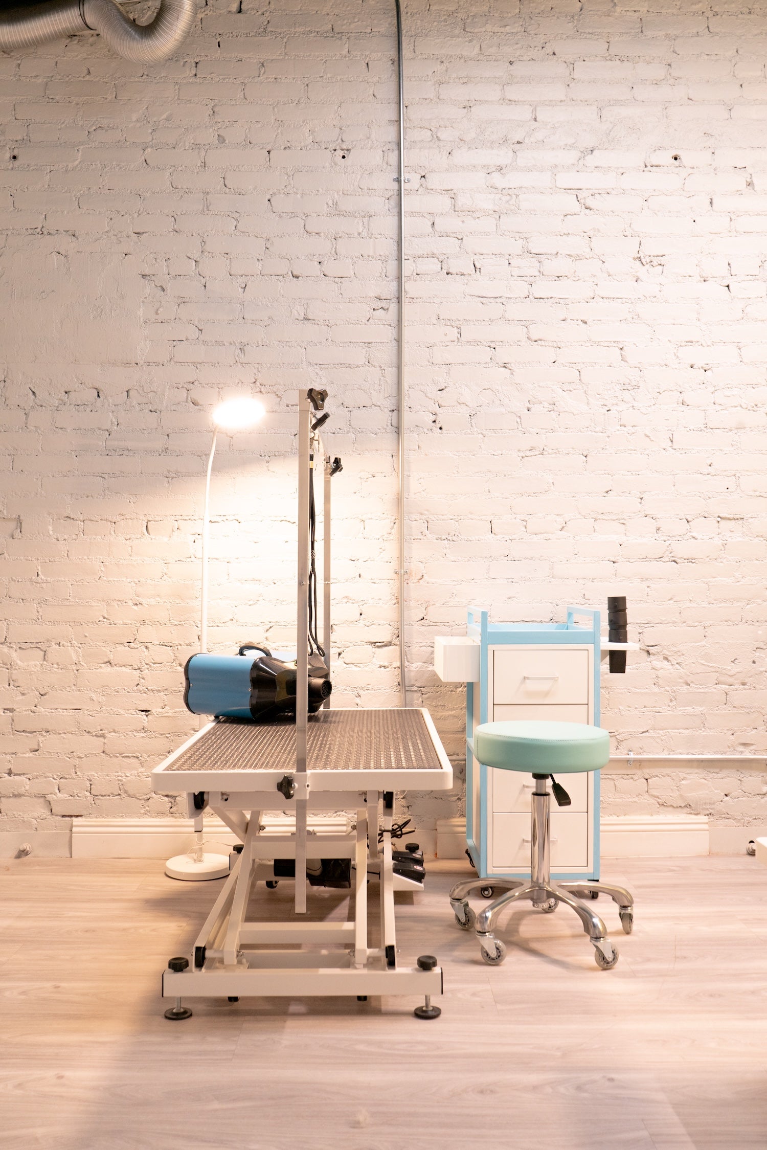 Grooming room at Puppy Island equipped for professional dog grooming services.