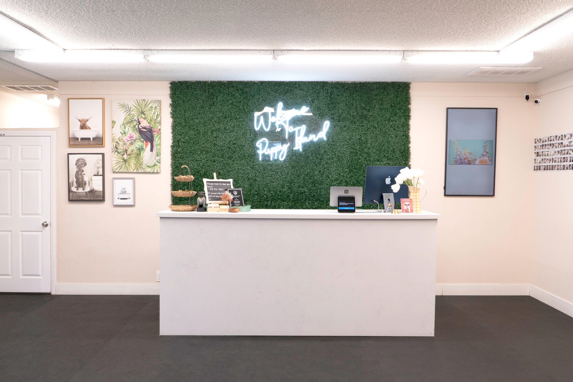 Welcoming lobby of Puppy Island with friendly staff and happy pups checking in.