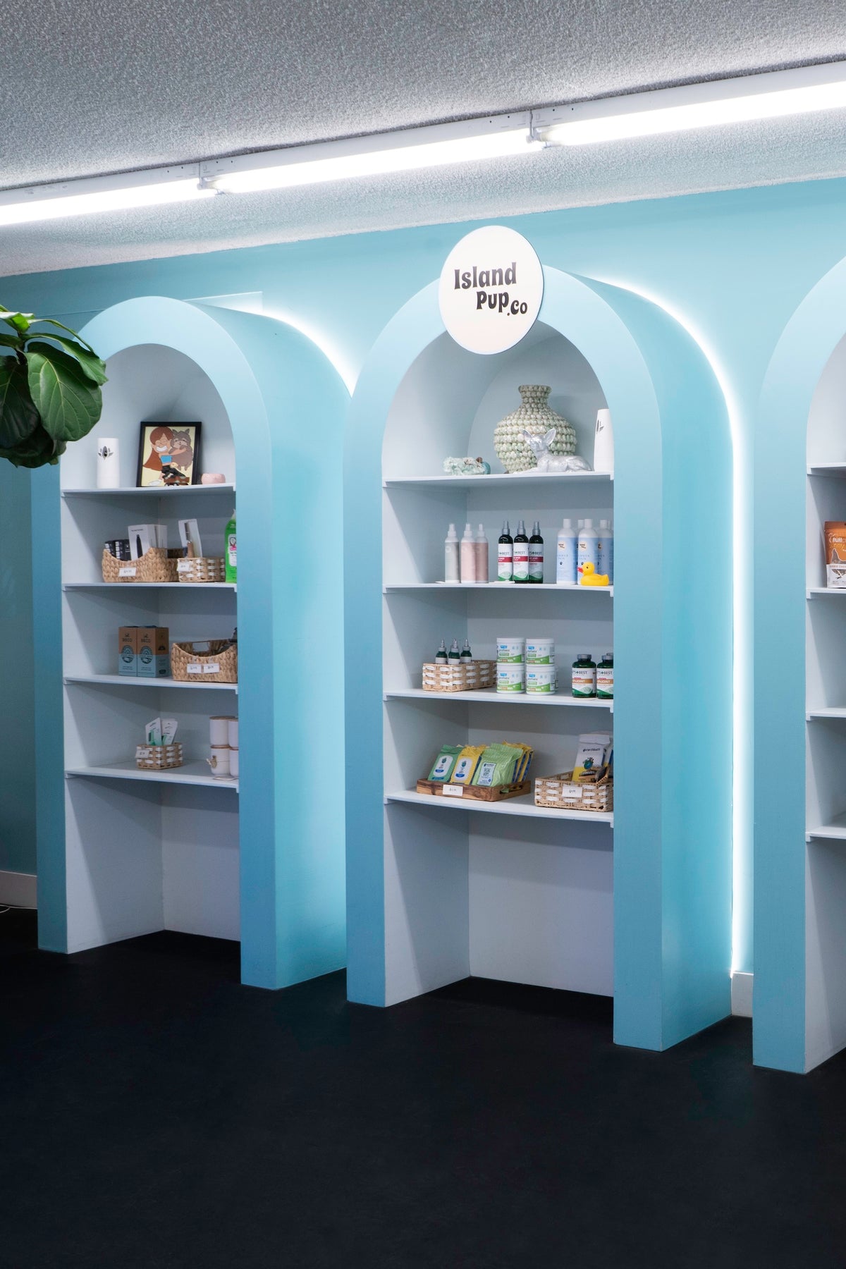 Display of dog treats and goodies available for purchase at Puppy Island's Glendale location, offering snacks and essentials for pet parents across Los Angeles.