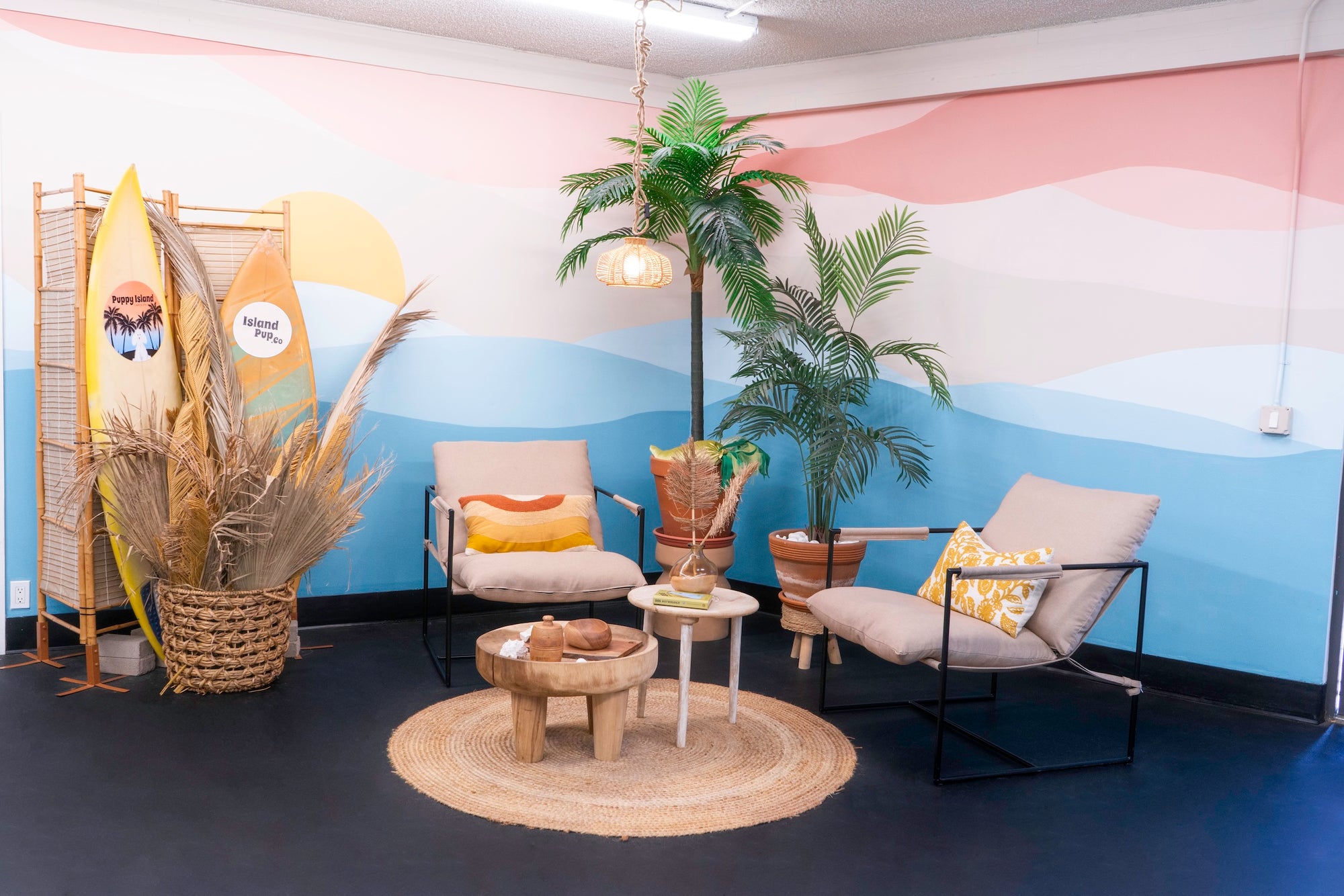 Spacious and modern dog care facility at Puppy Island with cage-free play areas and grooming stations for Dogs.