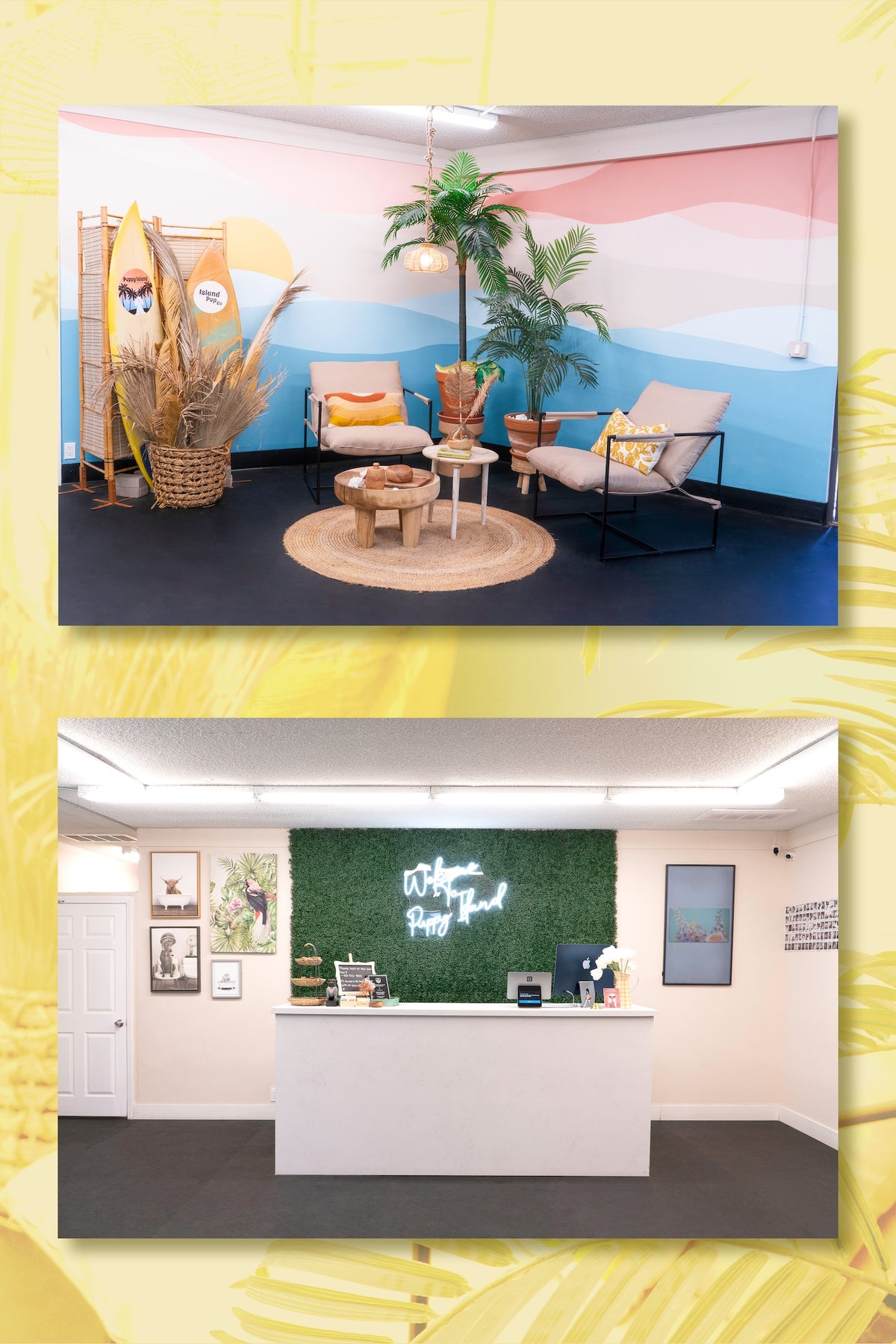 Spacious and modern dog care facility at Puppy Island with cage-free play areas and grooming stations for Dogs.