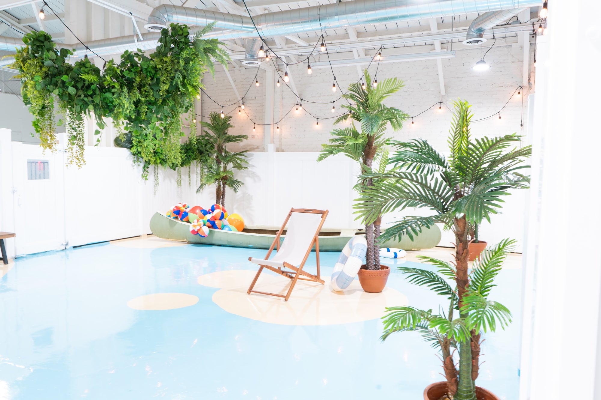 Secure and supervised indoor dog play area at Puppy Island, designed for safety and fun.