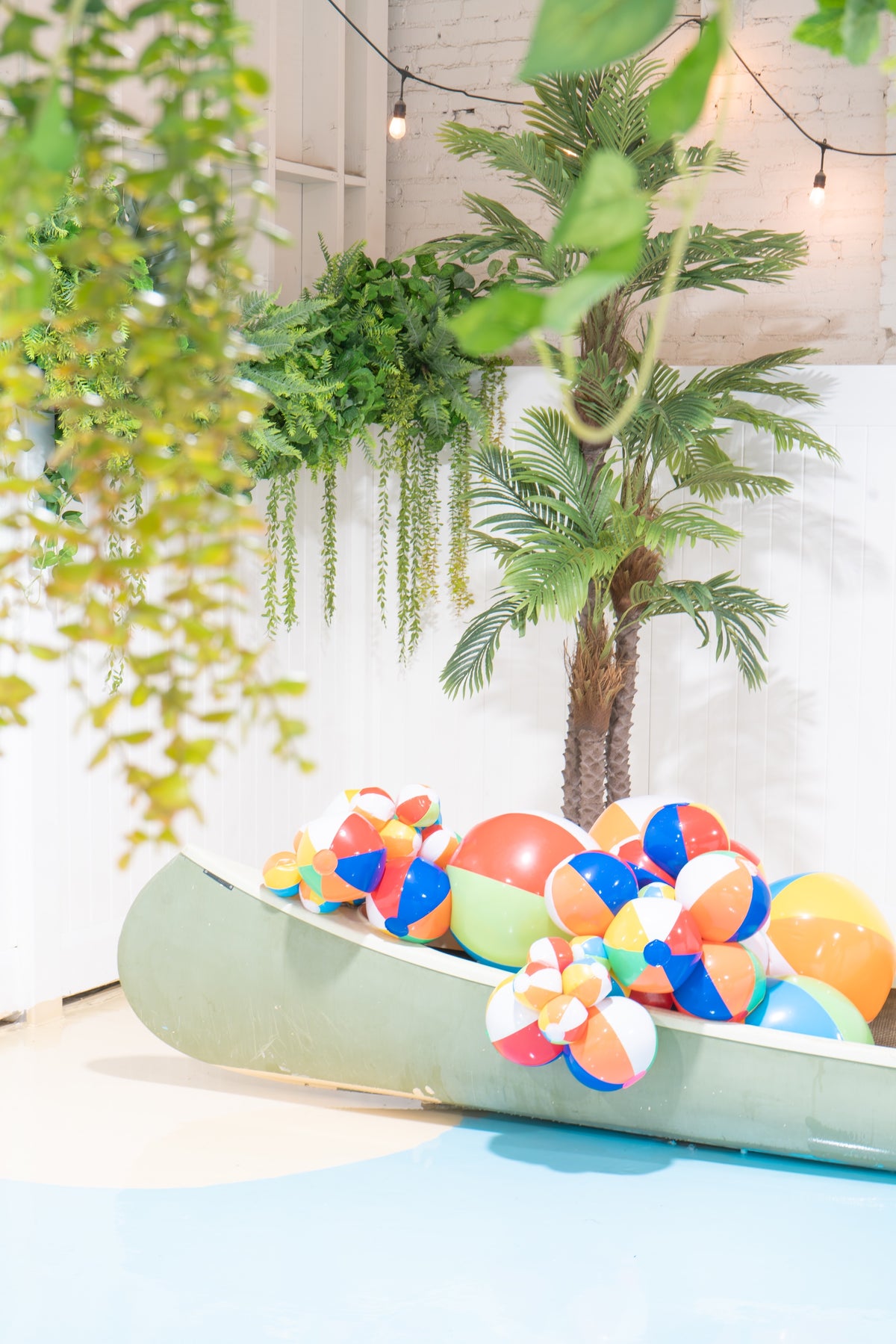 Secure and supervised indoor dog play area at Puppy Island, designed for safety and fun.