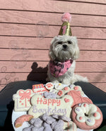 Celebrate Your Dog's Birthday in Style with Our Dog Birthday Parties at Puppy Island Care & Spa - Fun and Exciting Events for Your Furry Friend in Los Angeles CA