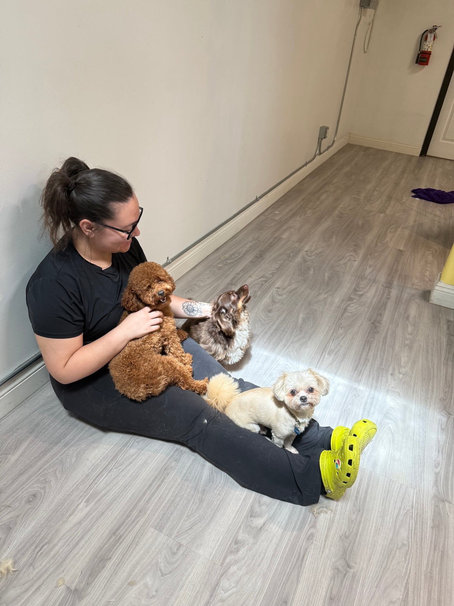 Person sitting on the floor with four small dogs in a Grooming room at puppy island care & Spa