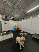 Small but mighty - Our Dog Playground for Smaller Dogs at Puppy Island Care & Spa - A Safe and Fun Environment for Your Canine Companion to Run and Play in Los Angeles CA
